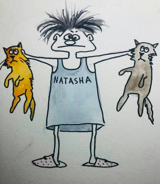 Про Наташу и котов