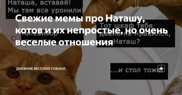 Наташа и коты