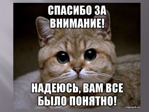 Спасибо за внимание