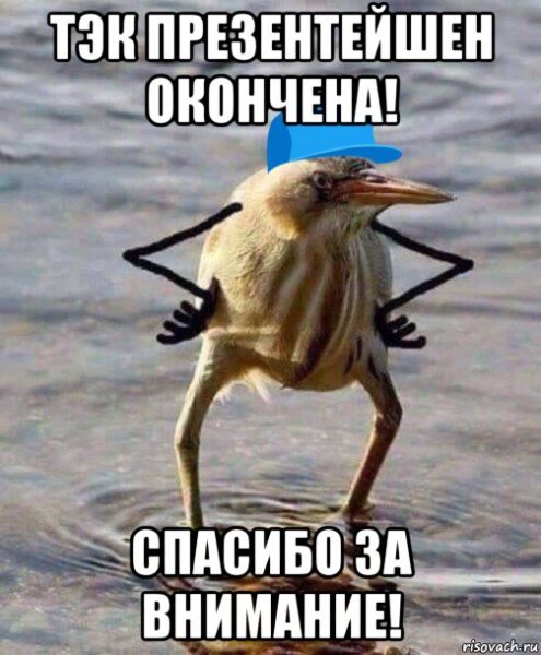 Спасибо за внимание Мем