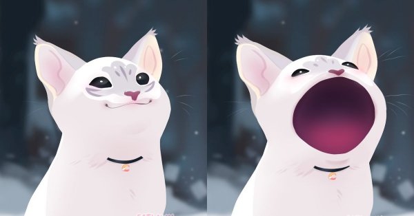 Поп кот Мем