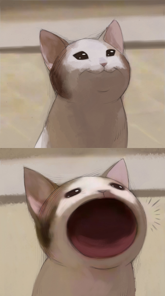 Popcat Мем
