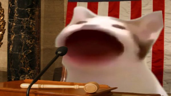 Pop Cat Мем gif