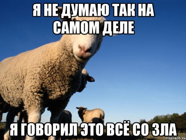 На самом деле я так не думаю