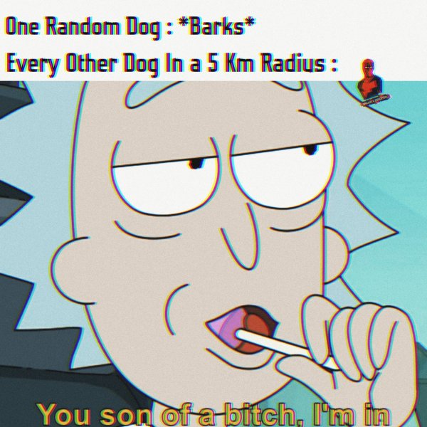 Рик и Морти я в деле