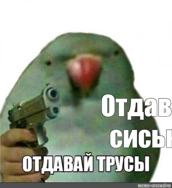 Мемы попугай с пистолетом