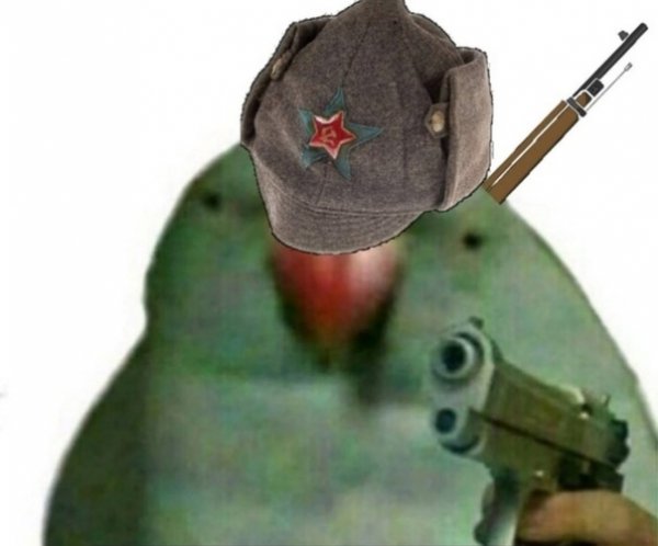 Отдавай Мем