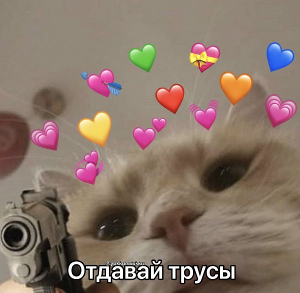 Милые пикчи с котиками