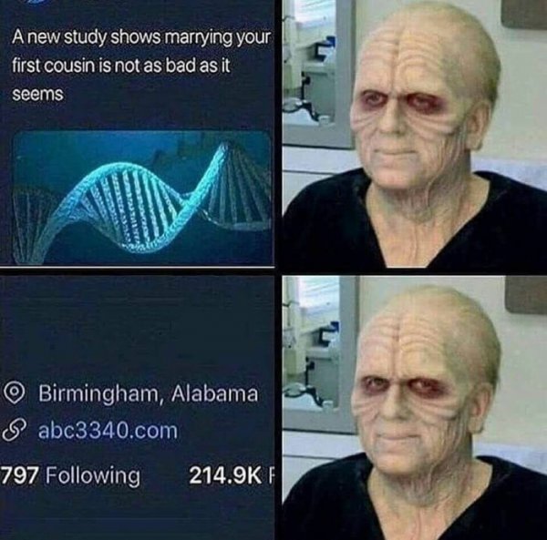 Свит хоум Алабама Мем