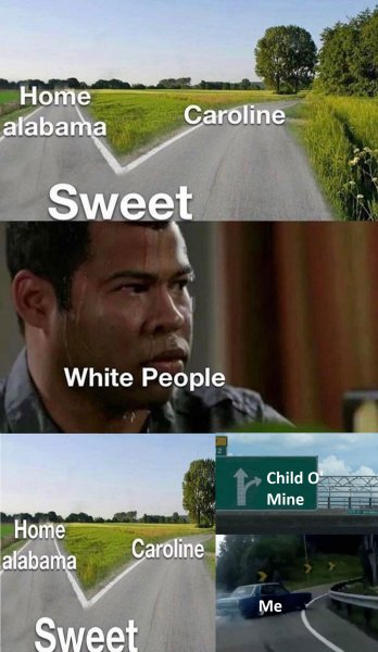 Sweet Home Alabama memes