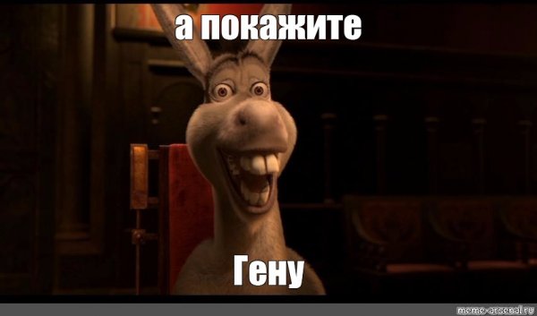 Осел из Шрека а сейчас приехали