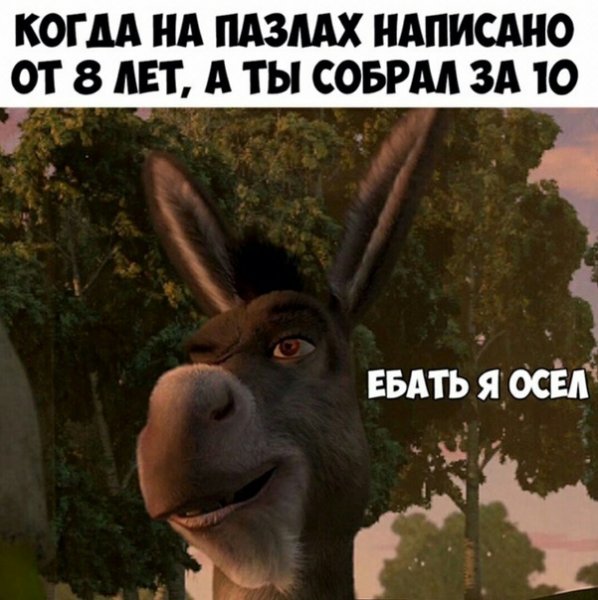 Я осел