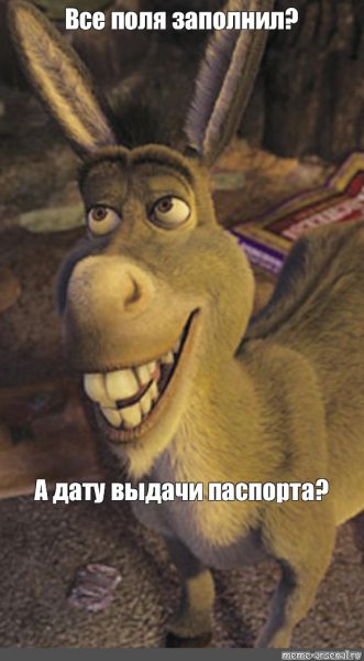 Мемы с ослом из Шрека