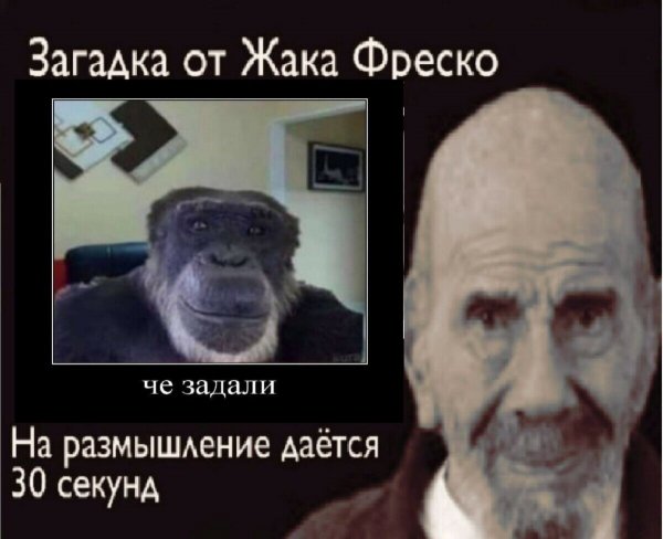 Жак Фреско загадка 30 секунд