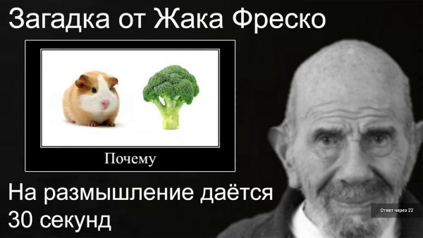 Загадка от жара ВРЕСКО