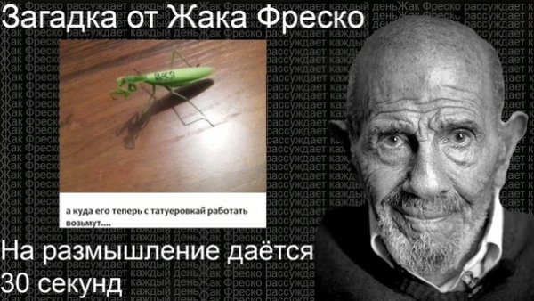 Шоколадно Жак Фреско