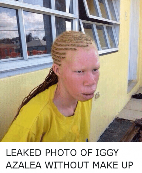 Iggy meme