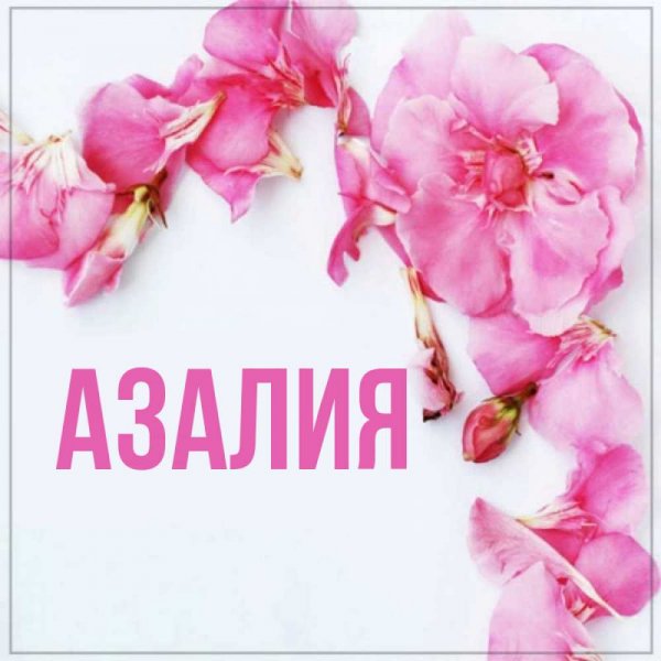 Ильфат Мем