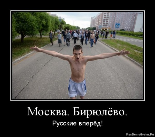 Вперёд картинки прикольные