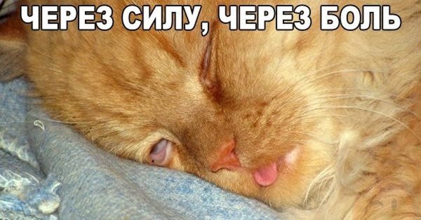 Через силу через боль просыпаюсь в 7 00