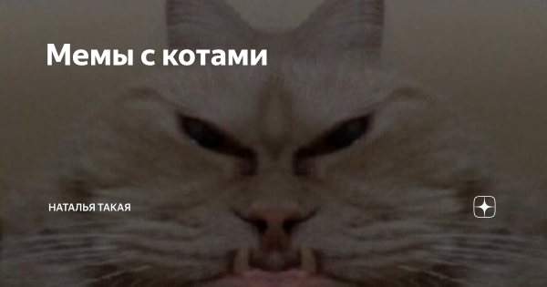Пьяные девушки жесть фото