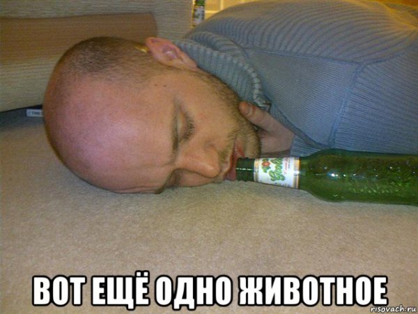 Кот в Отрубе