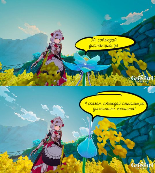 Геншин Импакт Мем