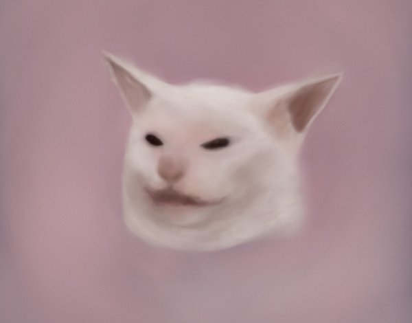 Белый кот из мемаса