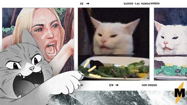 Мем с котом за столом