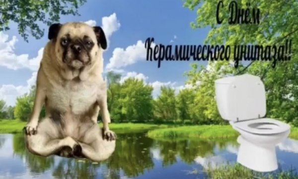С днем керамического унитаза