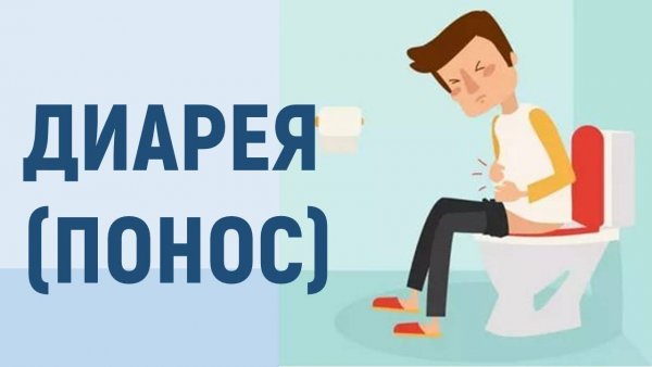 С днем поноса поздравление