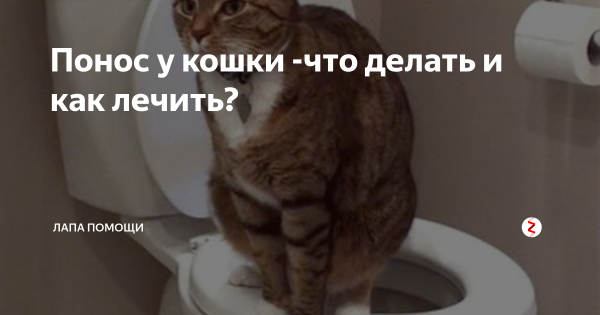 Колдую Мем