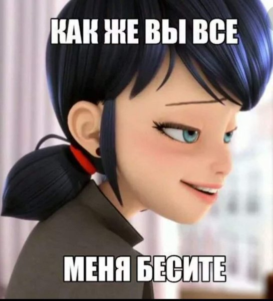 Леди баг и супер кот мемым
