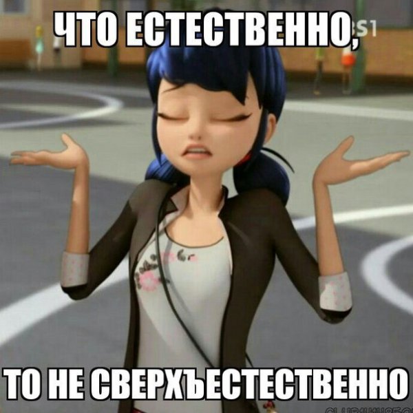 Мемы леди баг и супер ко т