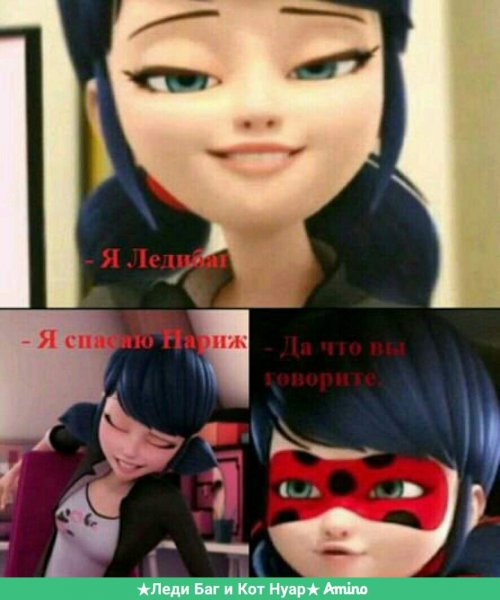 Леди баг приколы