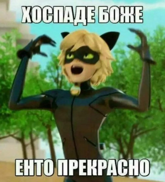 Супер кот Мем