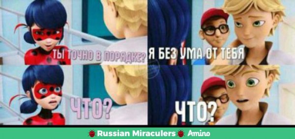 Леди баг приколы