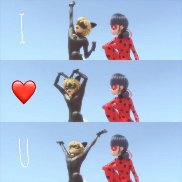 Леди баг мемы