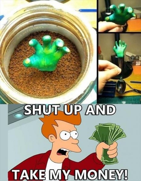 Shut up and take my money