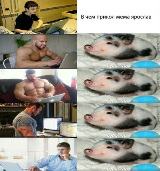 Ярослав Мем