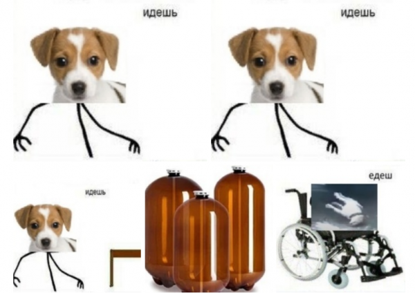 Мем про собаку кега (46 фото)