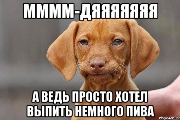 Собака скептик Мем