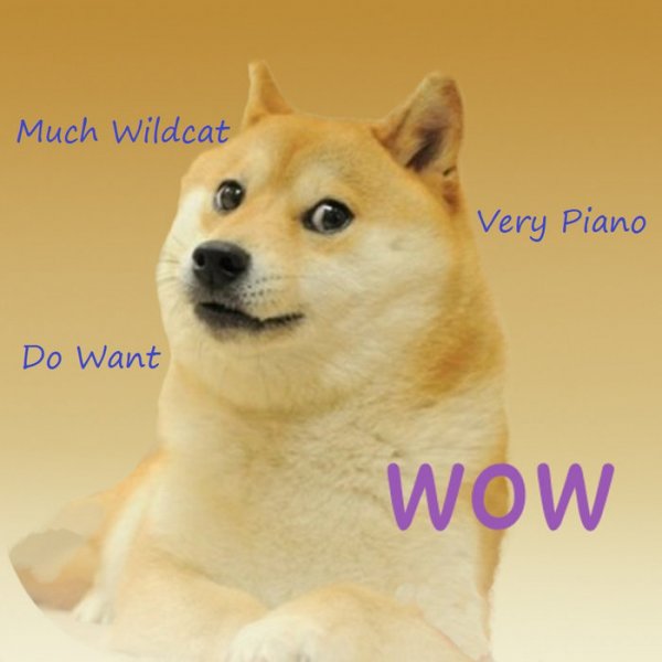 Мем собака Doge