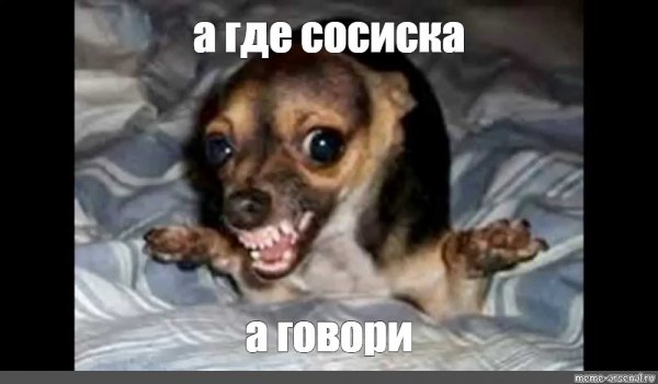 Собака сосиска Мем