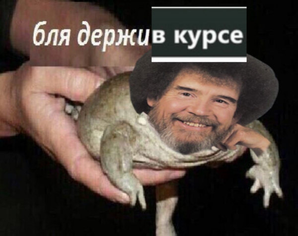 Держи жабу Мем