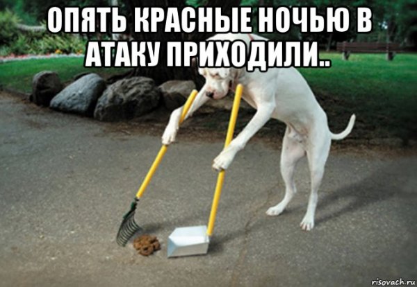 Кувалду Мем с собакой
