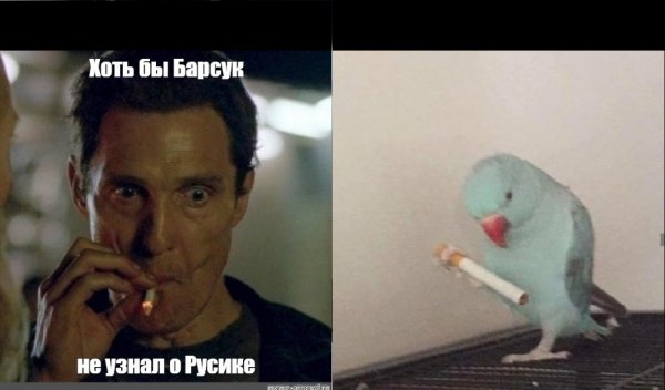 Метью Макконахи курит