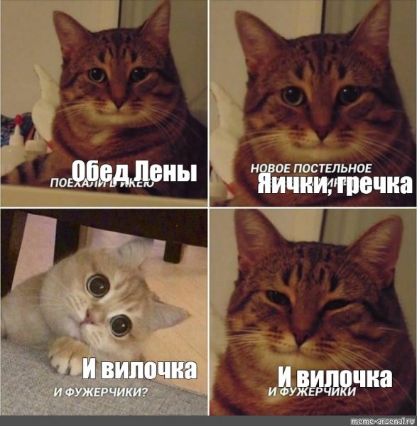 Лена и коты мемы