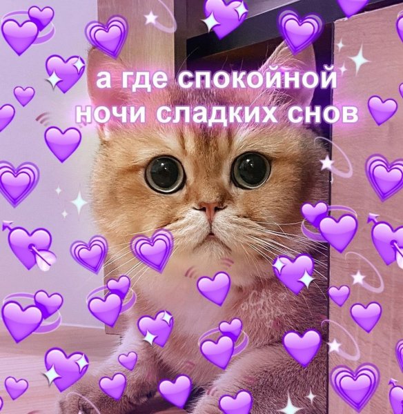 Милые котики с сердечками