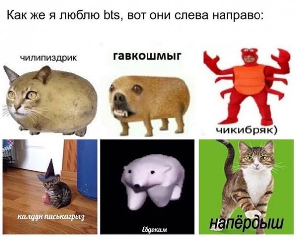 ЧИЛИПИЗДРИК Чикибряк гавкошмыг